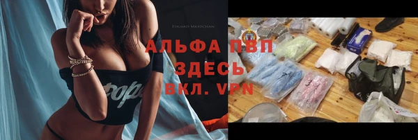 эйфоретик Лабытнанги