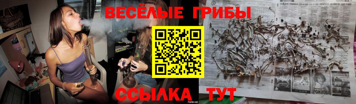 Майский  Псилоцибиновые грибы Psilocybine cubensis  Вход с VPN  Галлюциногенные грибы Psilocybe 